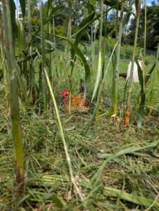 PXL_20250825_174002062