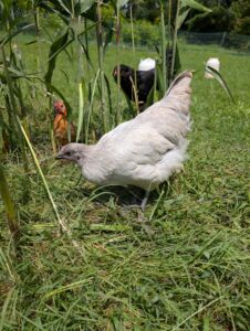 PXL_20250825_174109805