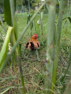 PXL_20250825_174230714