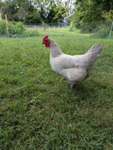 PXL_20250825_174609462