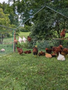 PXL_20250825_174655323