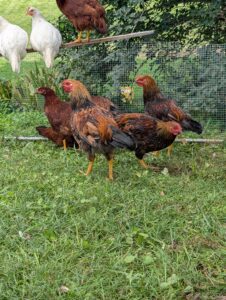 PXL_20250825_174727097