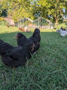 PXL_20250829_224615436