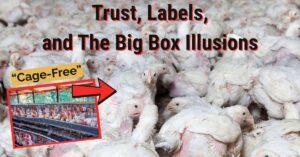 Why Small Farms Matter